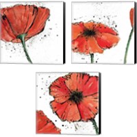 Framed 'Not a California Poppy 3 Piece Canvas Print Set' border=