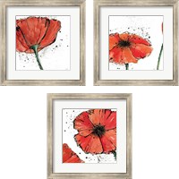 Framed 'Not a California Poppy 3 Piece Framed Art Print Set' border=