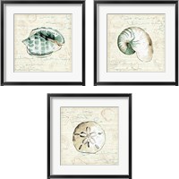 Framed 'Ocean Prints 3 Piece Framed Art Print Set' border=