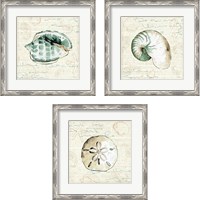 Framed 'Ocean Prints 3 Piece Framed Art Print Set' border=