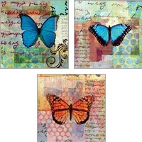 Framed 'Homespun Butterfly 3 Piece Art Print Set' border=