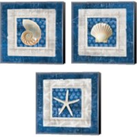 Framed 'Sea Shell on Blue 3 Piece Canvas Print Set' border=