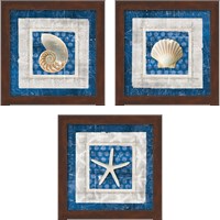 Framed 'Sea Shell on Blue 3 Piece Framed Art Print Set' border=