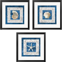 Framed 'Sea Shell on Blue 3 Piece Framed Art Print Set' border=