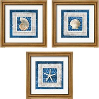 Framed Sea Shell on Blue 3 Piece Framed Art Print Set