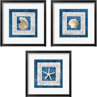 Framed Sea Shell on Blue 3 Piece Framed Art Print Set
