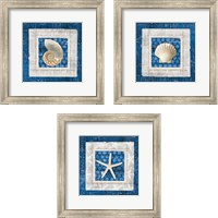 Framed 'Sea Shell on Blue 3 Piece Framed Art Print Set' border=