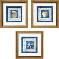 Framed Sea Shell on Blue 3 Piece Framed Art Print Set