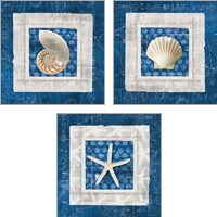 Framed 'Sea Shell on Blue 3 Piece Art Print Set' border=