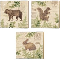 Framed 'Woodland Trail 3 Piece Canvas Print Set' border=