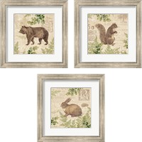 Framed 'Woodland Trail 3 Piece Framed Art Print Set' border=