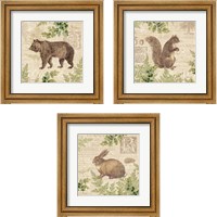 Framed 'Woodland Trail 3 Piece Framed Art Print Set' border=