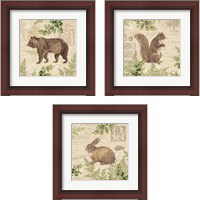 Framed 'Woodland Trail 3 Piece Framed Art Print Set' border=