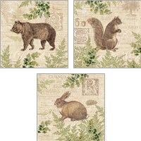 Framed Woodland Trail 3 Piece Art Print Set