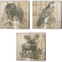 Framed 'Natural History Lodge 3 Piece Canvas Print Set' border=
