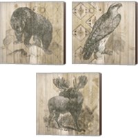 Framed 'Natural History Lodge 3 Piece Canvas Print Set' border=