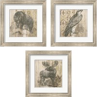 Framed Natural History Lodge 3 Piece Framed Art Print Set