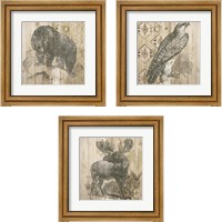 Framed 'Natural History Lodge 3 Piece Framed Art Print Set' border=