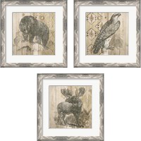 Framed 'Natural History Lodge 3 Piece Framed Art Print Set' border=