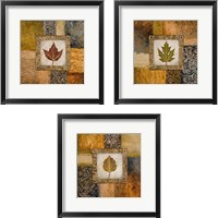 Framed 'Fallen Leaf 3 Piece Framed Art Print Set' border=