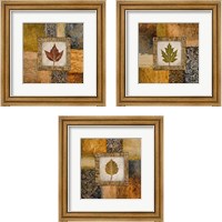 Framed 'Fallen Leaf 3 Piece Framed Art Print Set' border=