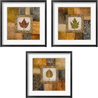 Framed Fallen Leaf 3 Piece Framed Art Print Set