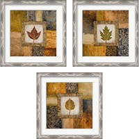 Framed 'Fallen Leaf 3 Piece Framed Art Print Set' border=