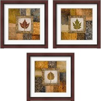 Framed 'Fallen Leaf 3 Piece Framed Art Print Set' border=