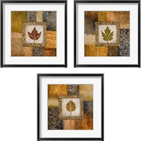 Framed 'Fallen Leaf 3 Piece Framed Art Print Set' border=