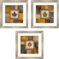 Framed Fallen Leaf 3 Piece Framed Art Print Set