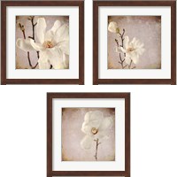 Framed 'Paper Magnolia 3 Piece Framed Art Print Set' border=
