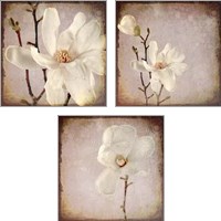 Framed 'Paper Magnolia 3 Piece Art Print Set' border=