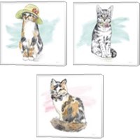 Framed Fancy Cats 3 Piece Canvas Print Set