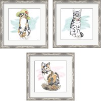 Framed Fancy Cats 3 Piece Framed Art Print Set