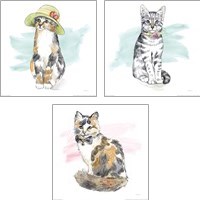 Framed 'Fancy Cats 3 Piece Art Print Set' border=