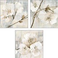 Framed Elegance Greige 3 Piece Art Print Set