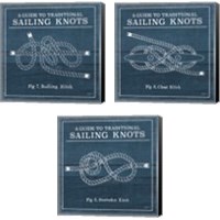 Framed 'Vintage Sailing Knots 3 Piece Canvas Print Set' border=