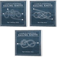 Framed 'Vintage Sailing Knots 3 Piece Canvas Print Set' border=