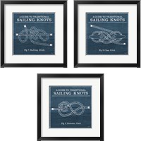Framed 'Vintage Sailing Knots 3 Piece Framed Art Print Set' border=