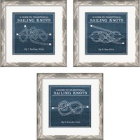 Framed Vintage Sailing Knots 3 Piece Framed Art Print Set