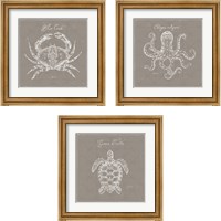 Framed 'Underwater Life Greige 3 Piece Framed Art Print Set' border=
