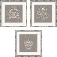 Framed 'Underwater Life Greige 3 Piece Framed Art Print Set' border=