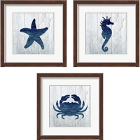 Framed 'Gypsy Sea  3 Piece Framed Art Print Set' border=