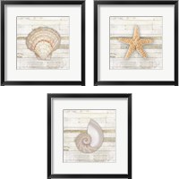 Framed 'Gypsy Sea Coastal 3 Piece Framed Art Print Set' border=