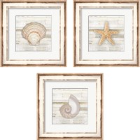 Framed Gypsy Sea Coastal 3 Piece Framed Art Print Set