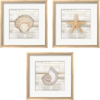 Framed 'Gypsy Sea Coastal 3 Piece Framed Art Print Set' border=