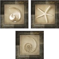 Framed 'Light Gold Sea Warm 3 Piece Art Print Set' border=