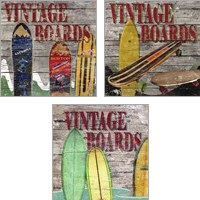 Framed 'Vintage Boards 3 Piece Art Print Set' border=