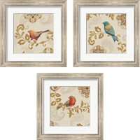Framed 'Bird Rainbow 3 Piece Framed Art Print Set' border=