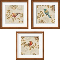 Framed 'Bird Rainbow 3 Piece Framed Art Print Set' border=